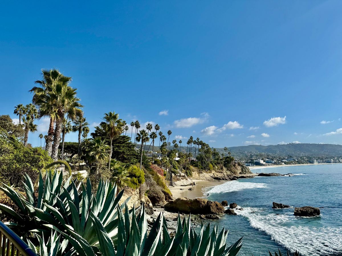 Laguna Beach coastline with palm trees and the Pacific Ocean